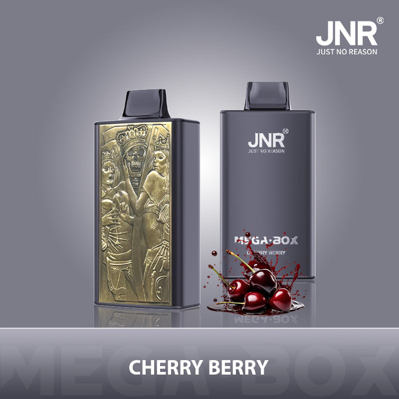 JNR® Mega Box 25000 Vape (20mg)