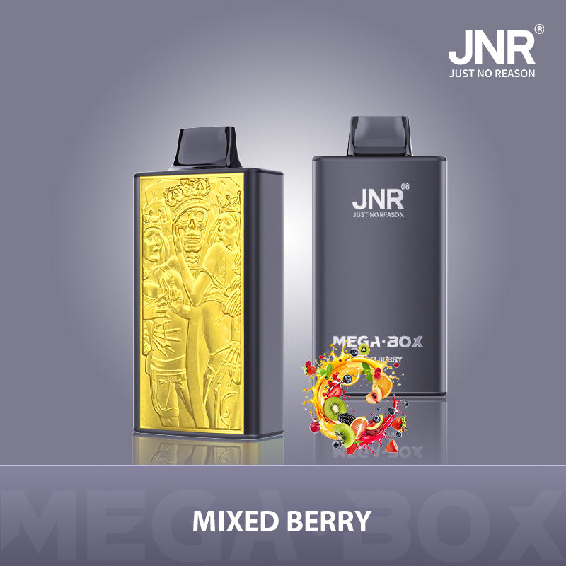 JNR® Mega Box 25000 Vape (20mg)