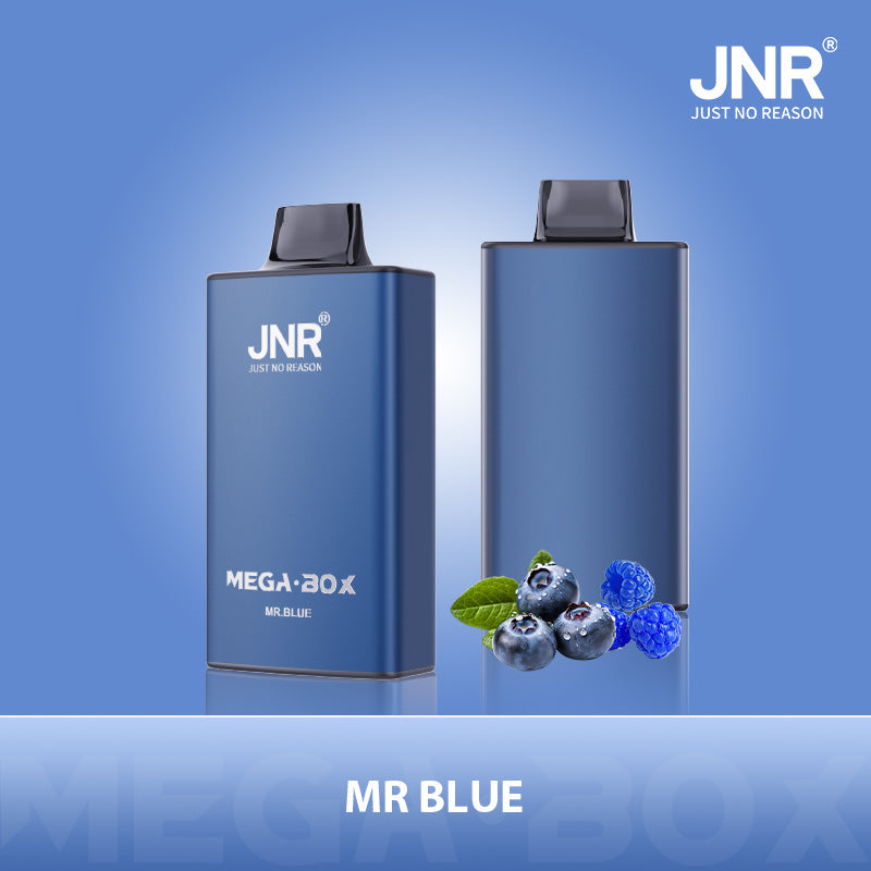 JNR® Mega Box 25000 Vape (20mg)