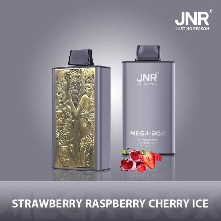 JNR® Mega Box 25000 Vape (20mg)